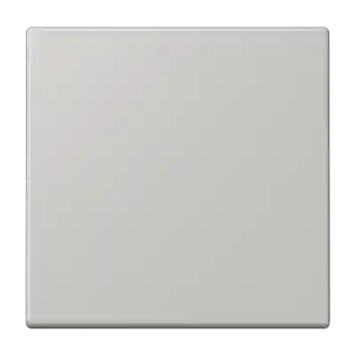 LC990205 Clapa buton/intrerupator gris clair 31 (32013)
