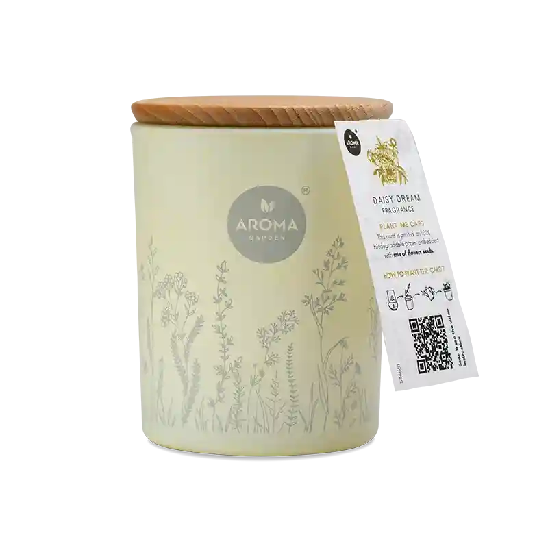 Aroma Lumanare cu Seminte si Aroma de Roamnita 150g