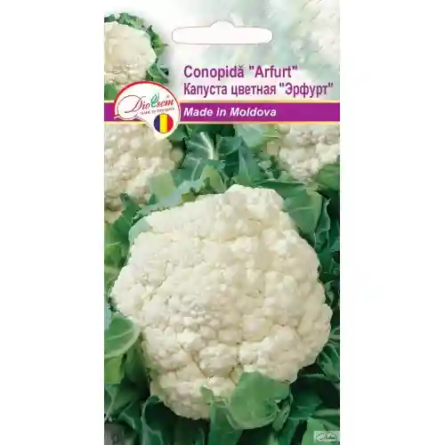 Семена Капуста цветная Эрфурт 0.5 г  DS