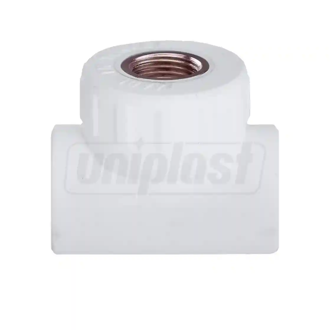 Teu PPR D. 25 x 3/4" FI x 25  KAS