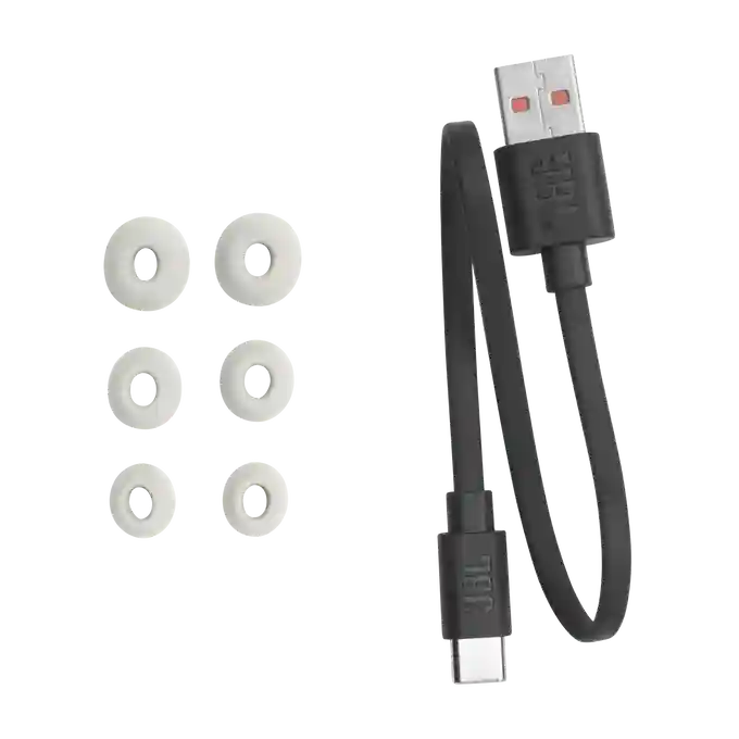 JBL Tour Pro 2 TWS Silver