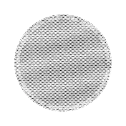 SCL-8