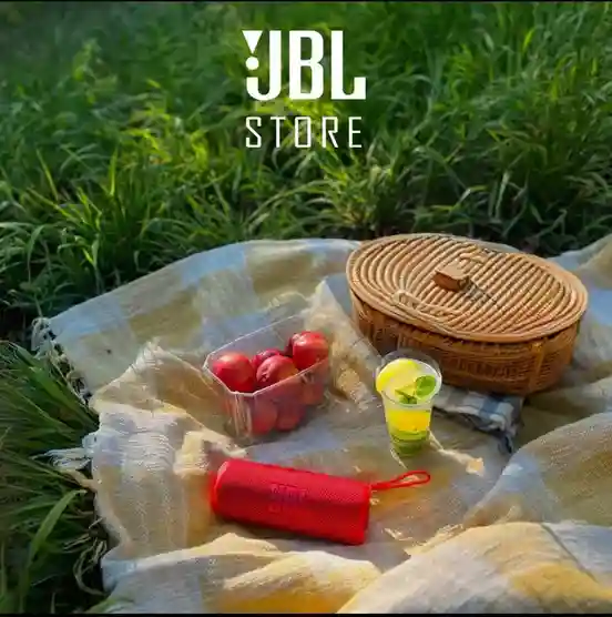 JBL Flip 6 Rosu