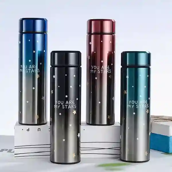 Sticla-termos cu indicarea temperaturii 500 ml 6118 (4164)