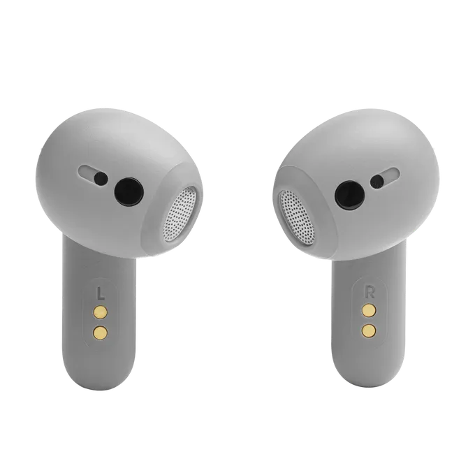 JBL Live Flex Silver