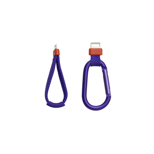 JBL Flip 7 Purple