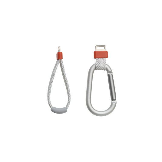 JBL Flip 7 White