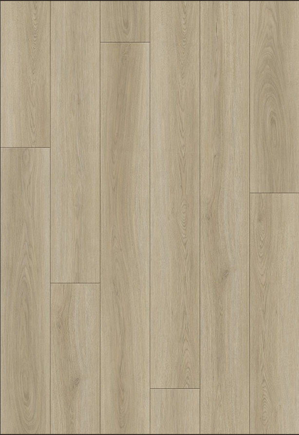 SPC Betulla Natural