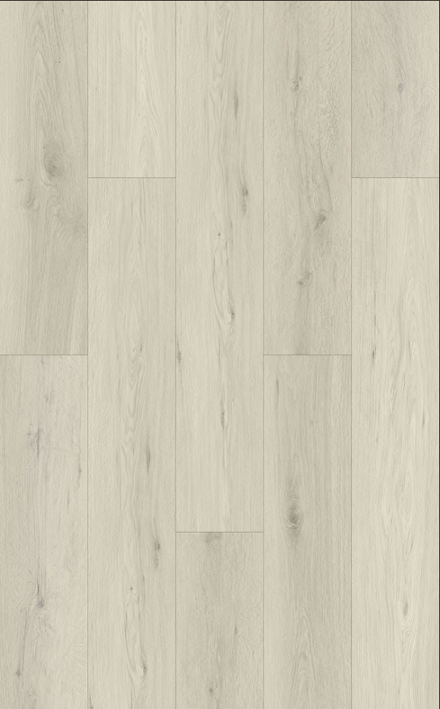SPC Sapin White