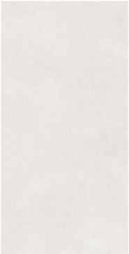 Riva White Mat 60*120