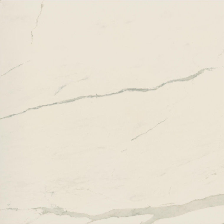 ALBATROS RETT POL 120×120