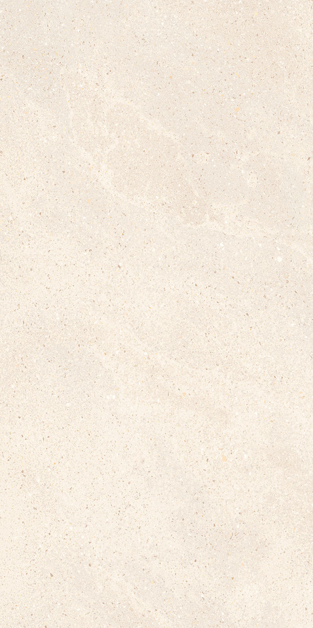 Gresie si faianta portelanata LAVISH MAT 1198*598mm