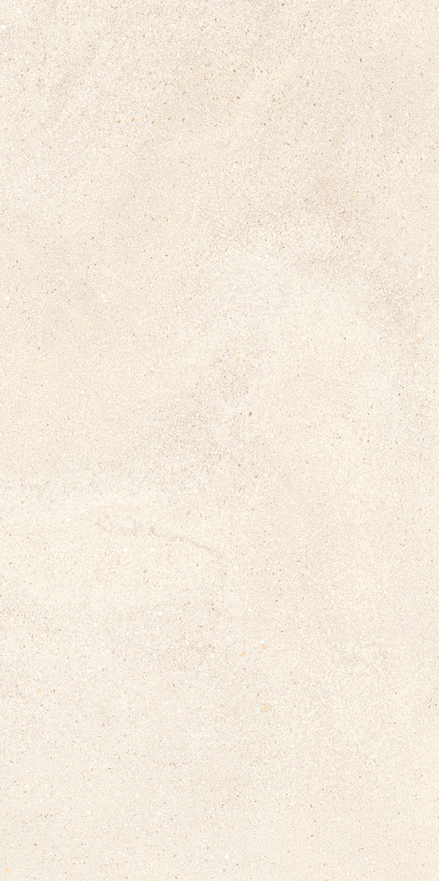 Gresie si faianta portelanata LAVISH MAT 1198*598mm