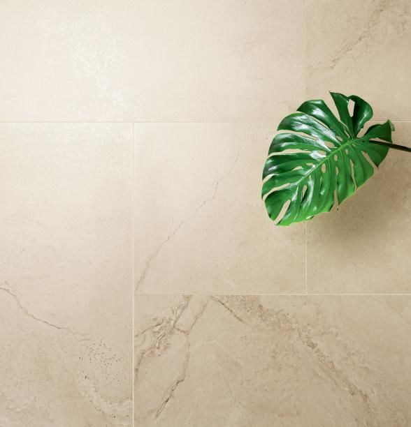 Керамогранитная плитка MASSA MAT 1198*598mm