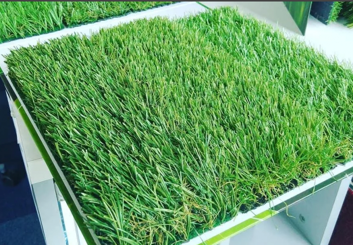 Iarba artificiala gazon verde Lucy 40