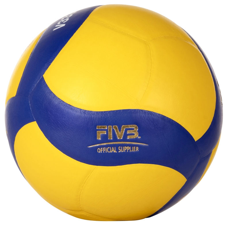 Minge volei Mikasa V333W School Pro (9249)