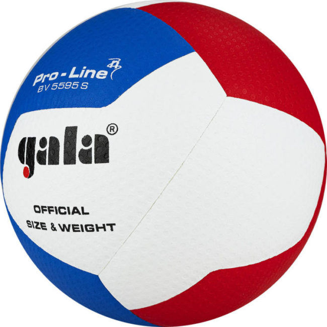 Мяч волейбольный №5 Gala Pro-Line FIVB Approved 5595 (8999)