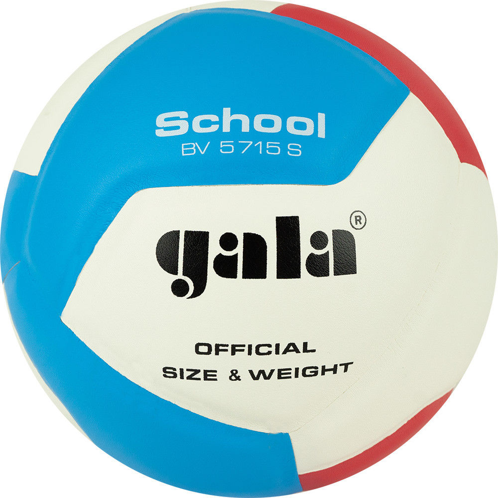 Мяч волейбольный №5  Gala School  5715 (10541)