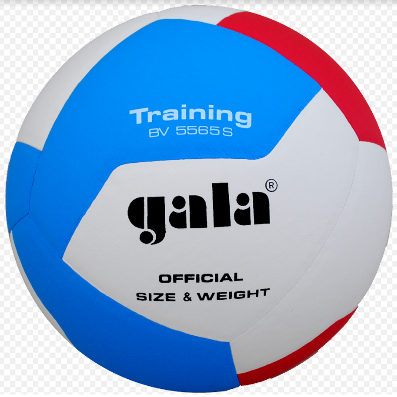 Minge volei №5 Gala Training 5565 (9000)