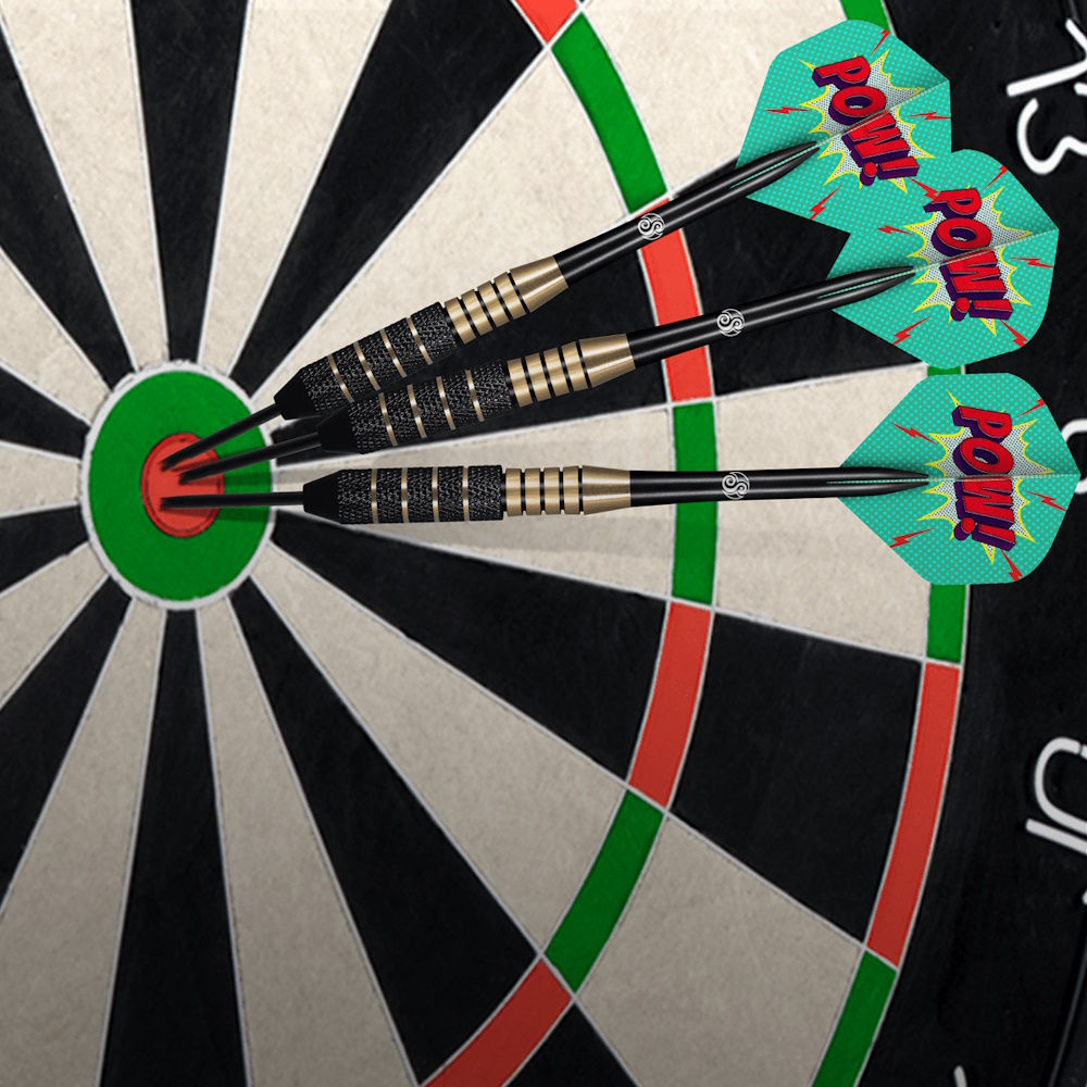 Ac darts (3 buc.) 24 g inSPORTline SH-SD3500-24 (11293)