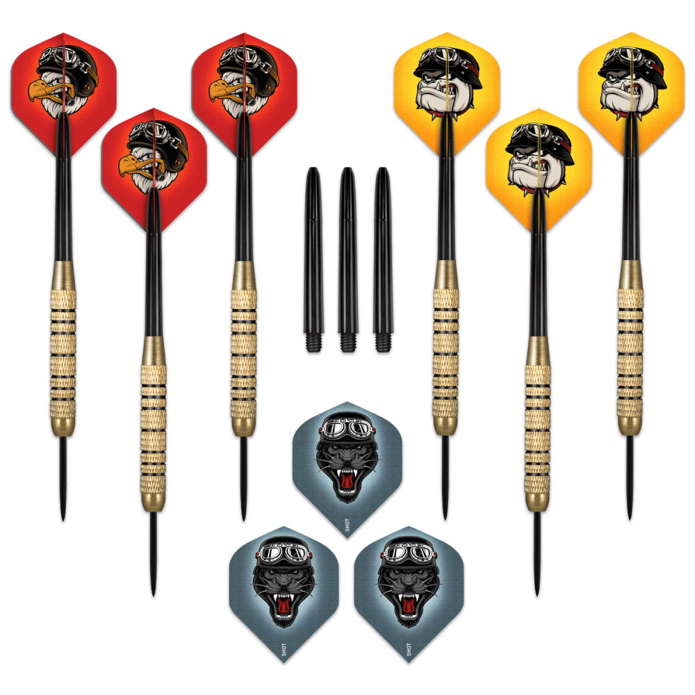 Ac darts (6 buc.) 18 g inSPORTline SH-DUEL-118 (10048)