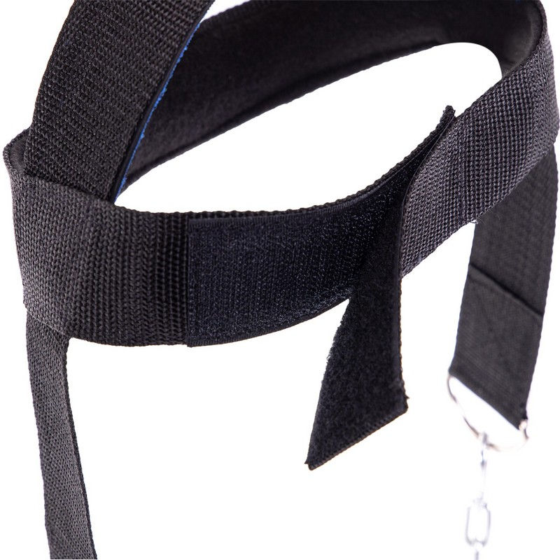 Ham pt formarea muschilor gatului HH-01 / TA-3905 (5841)
