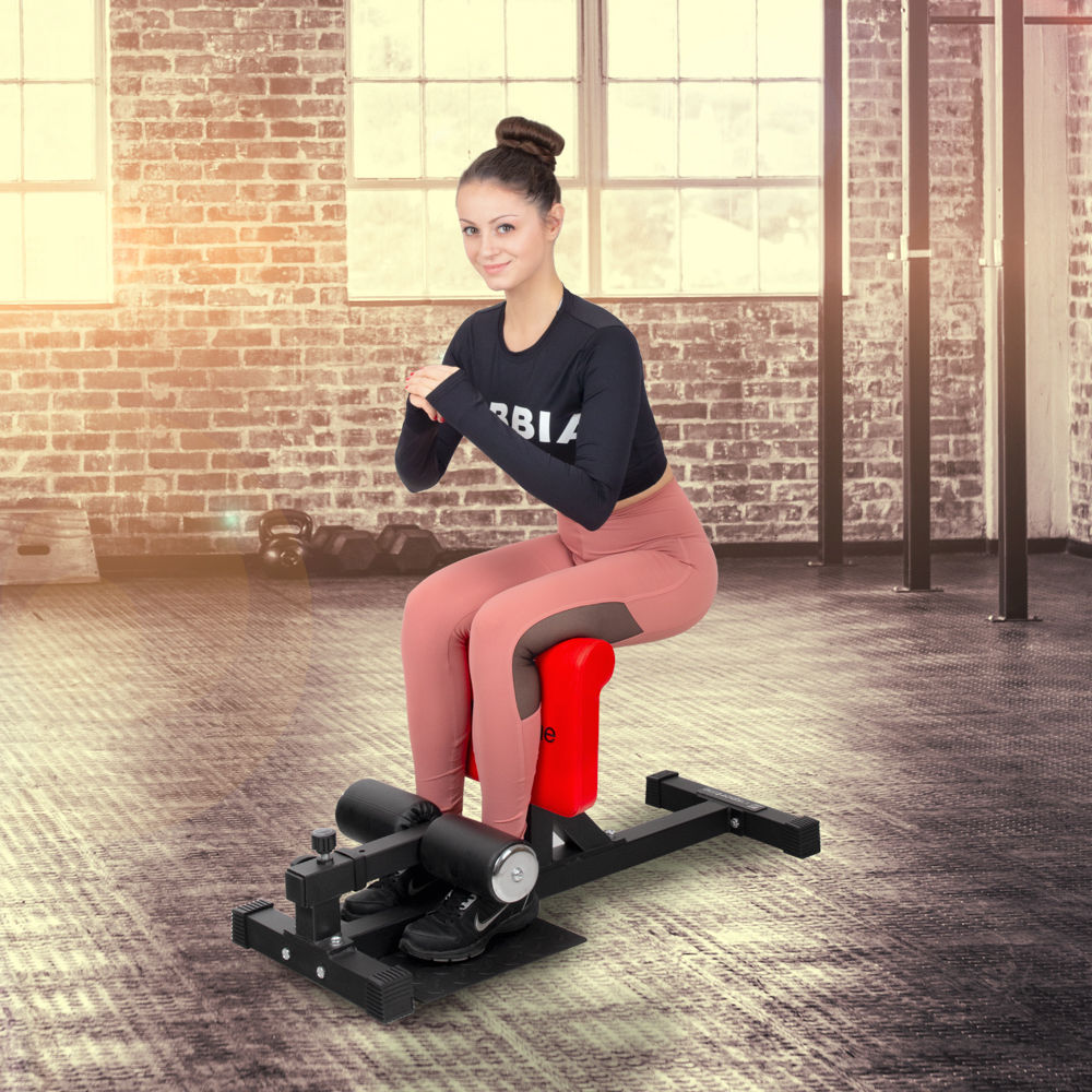 Banca squat (max. 300 kg) inSPORTline Squo 21715 (6961)