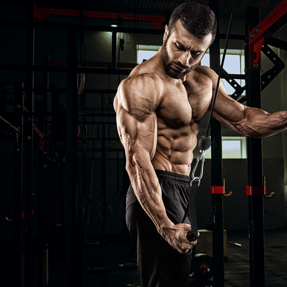 Sistem de scripeti pt cabluri de suspensie (max. 160 kg) inSPORTline 22981 (6186)