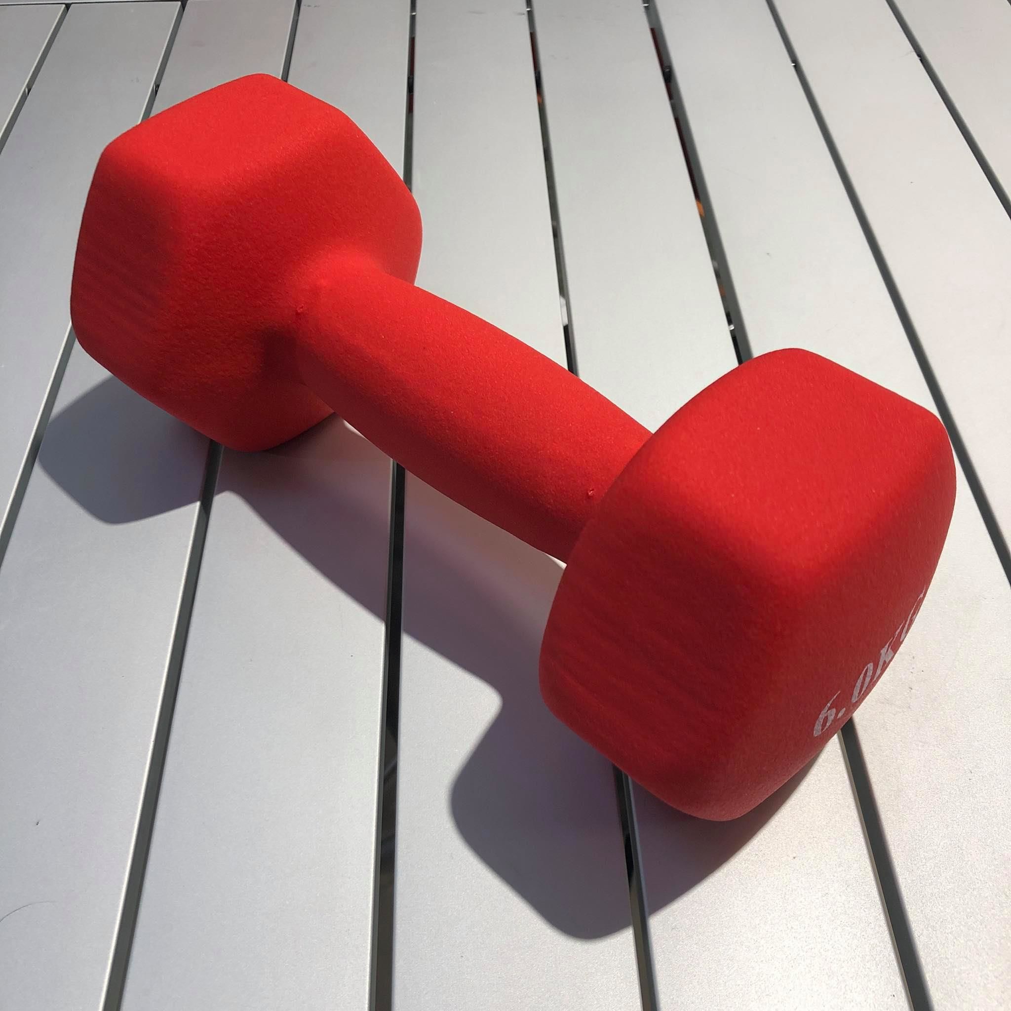 Gantera mat 6 kg (4558)