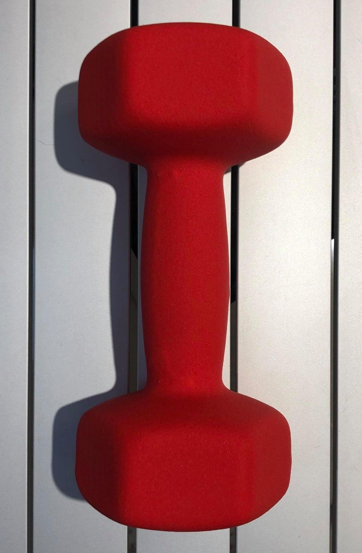 Gantera mat 6 kg (4558)