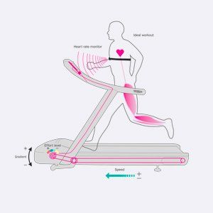 Banda de alergat Technogym Excite + LED Run 1000
