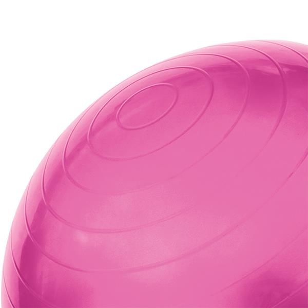 Minge gimnastica cu pompa d=55 cm HMS pink (4824)