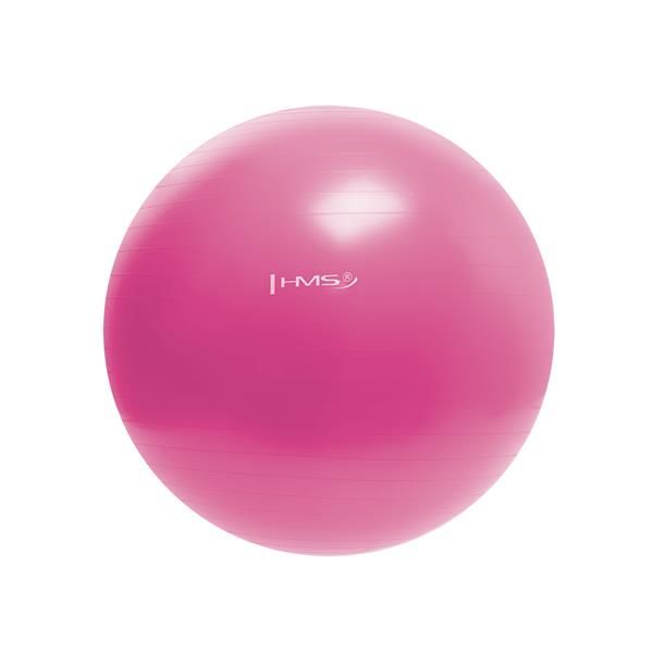 Minge gimnastica cu pompa d=55 cm HMS pink (4824)