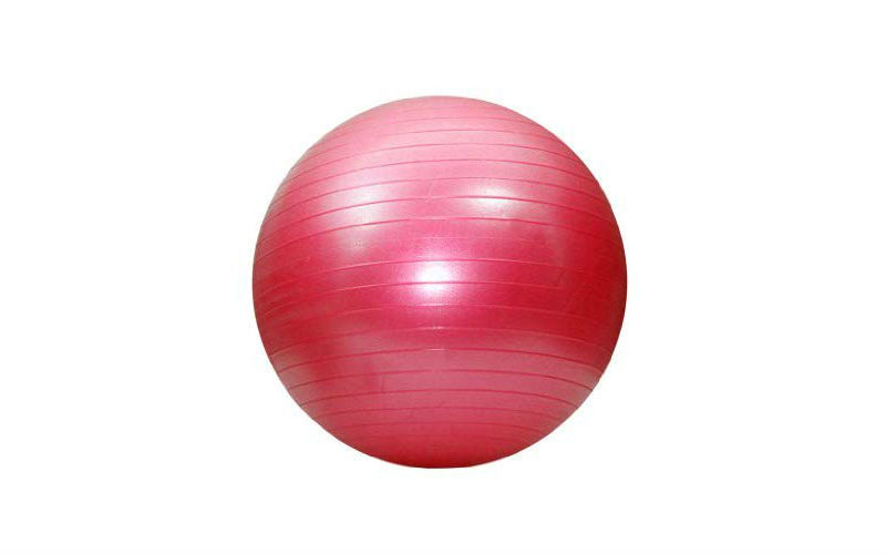 Minge gimnastica cu pompa d=65 cm S124-15 (2776)