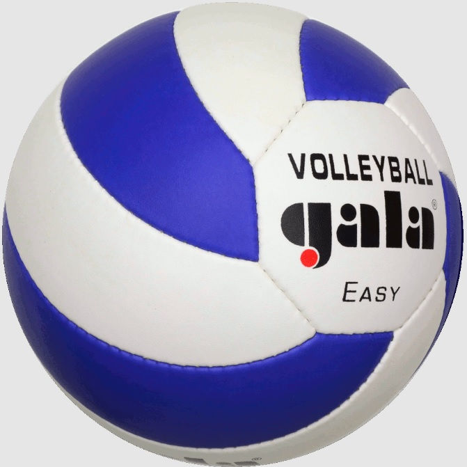 Minge volei Gala Easy 5083 (9839)