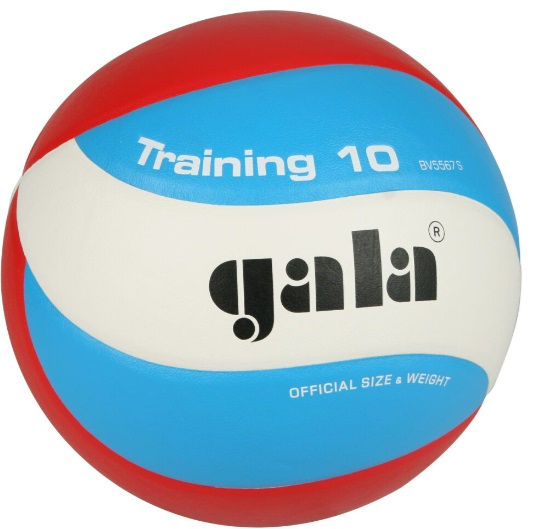 Мяч волейбольный Gala Training 5567 (10533)