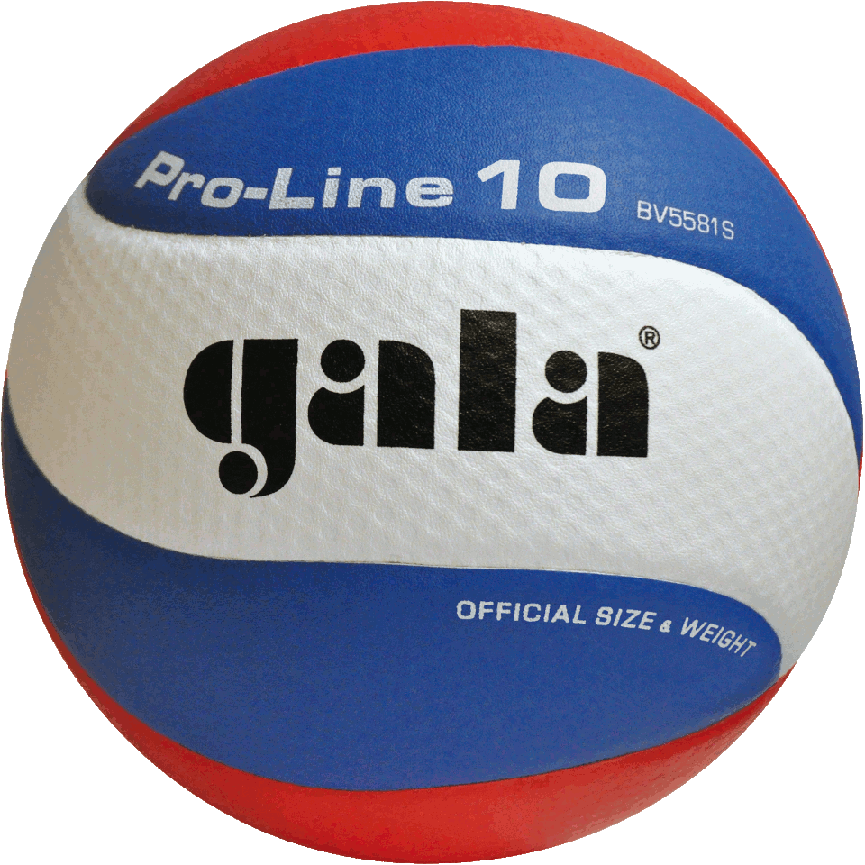 Minge volei №5 Gala Pro Line 5581 (1135)