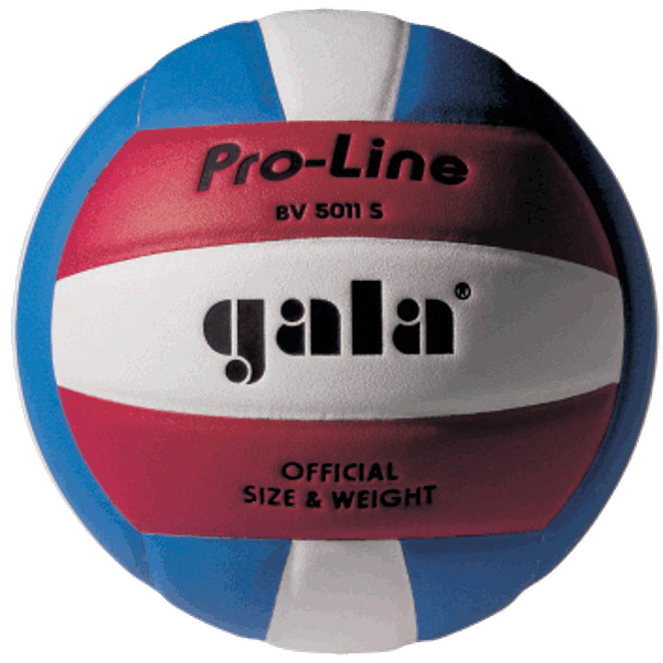 Minge volei №5 Gala Pro-Line 5011 FIVB (136)
