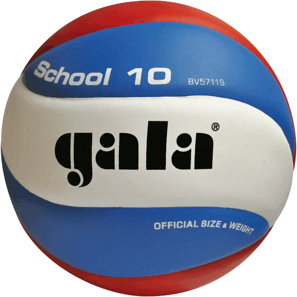 Minge volei №5 Gala School 10 5711 (1133)