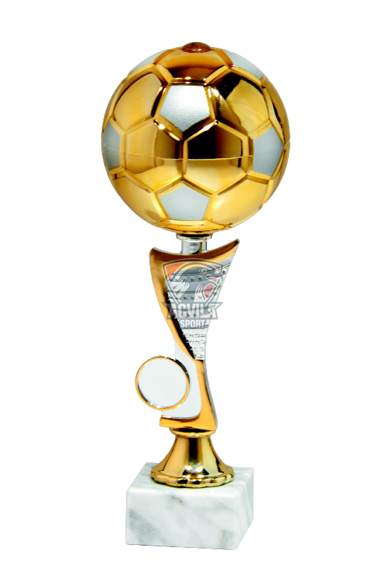 Cupa Sport  h=22 cm 9757 C (6533)
