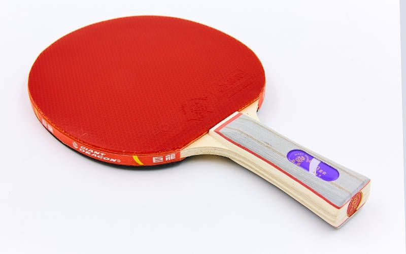 Paleta tenis de masa Giant Dragon 3* Offensive (591)