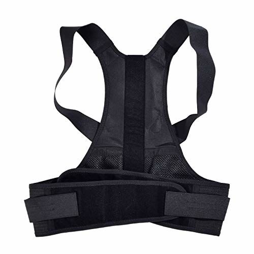 Centura corector suport spate L (91-105 cm) Dittmann Premium (3737)