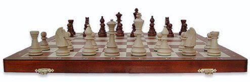 Sah DAX 48 x 48 x 2.5 cm Tournament N5 / 2 kg, king 9 cm (6104)