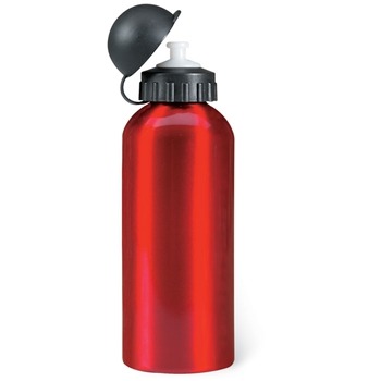 Sticla sportiva 600 ml Biscing (1681)