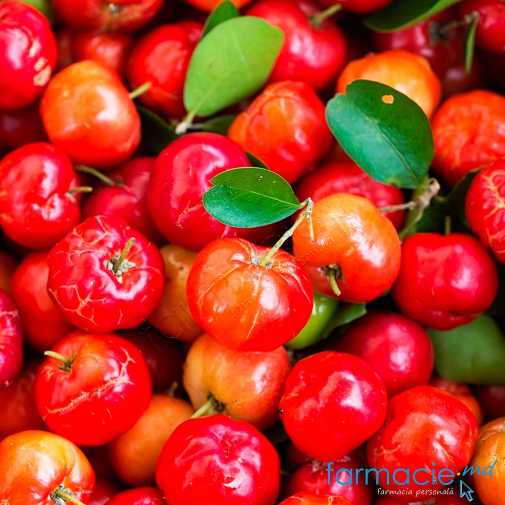 Lululun Masca fata zi Okinawa Acerola, Anti-age N7 pinza