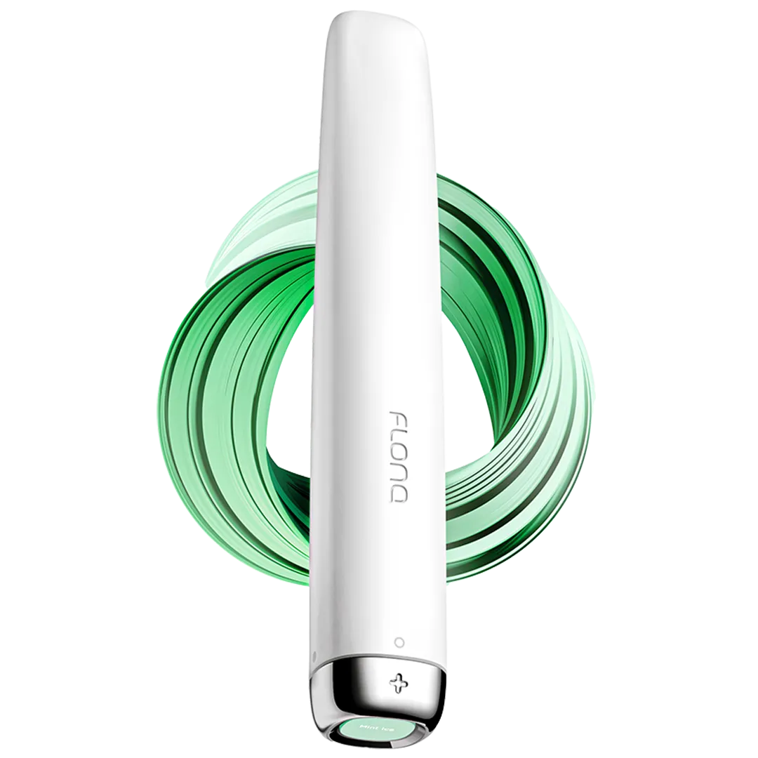 Mint Ice 600 puffs