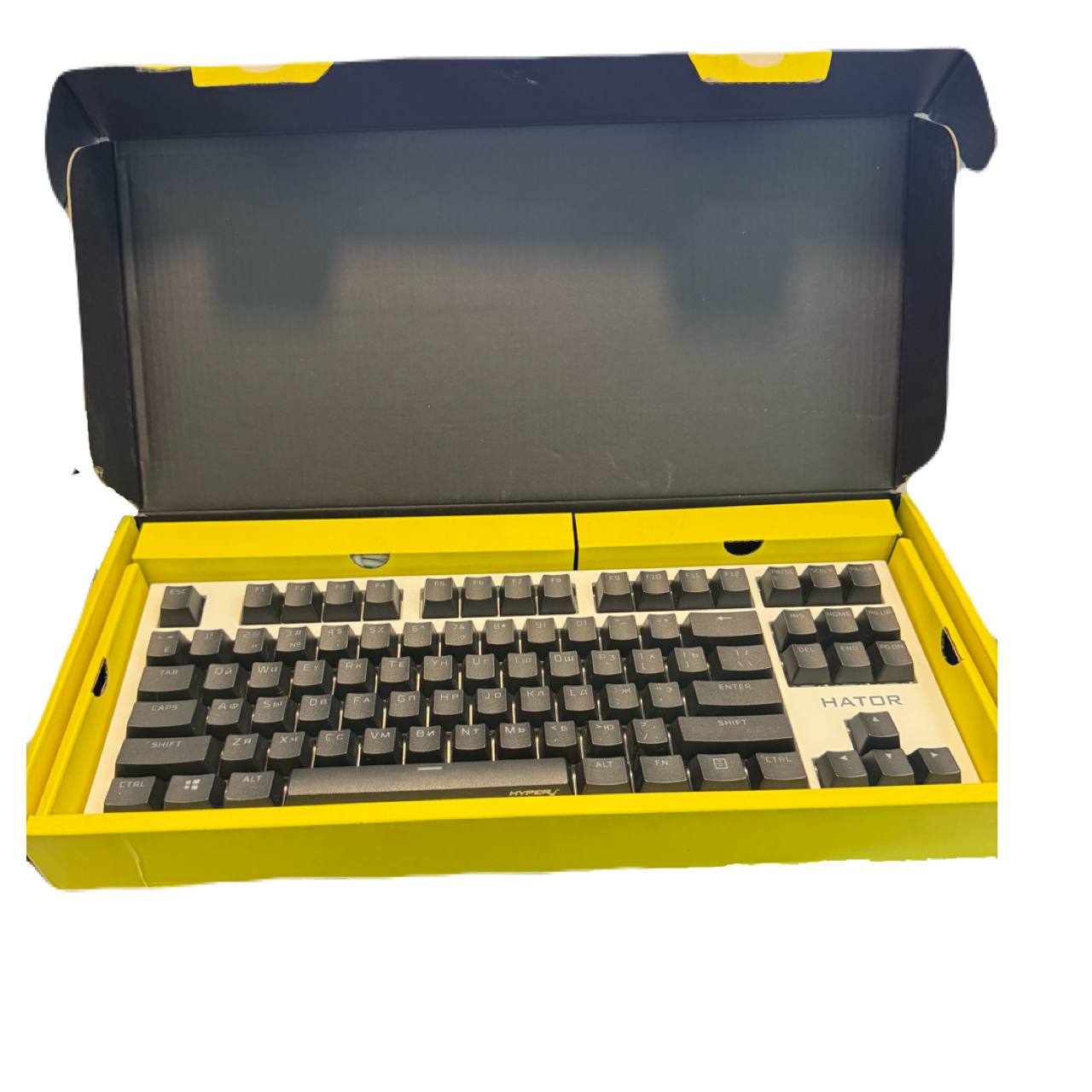 Hator Skyfall 2 TKL PRO
