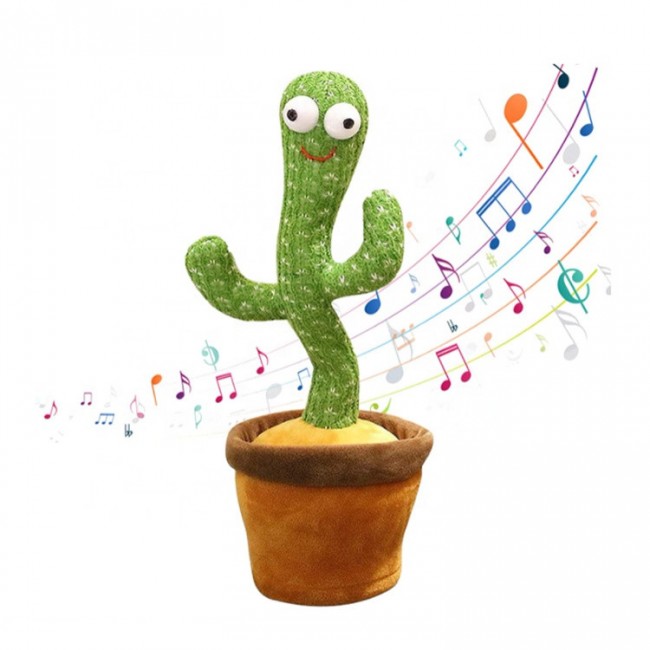 Cactus dansator (S13/P2)