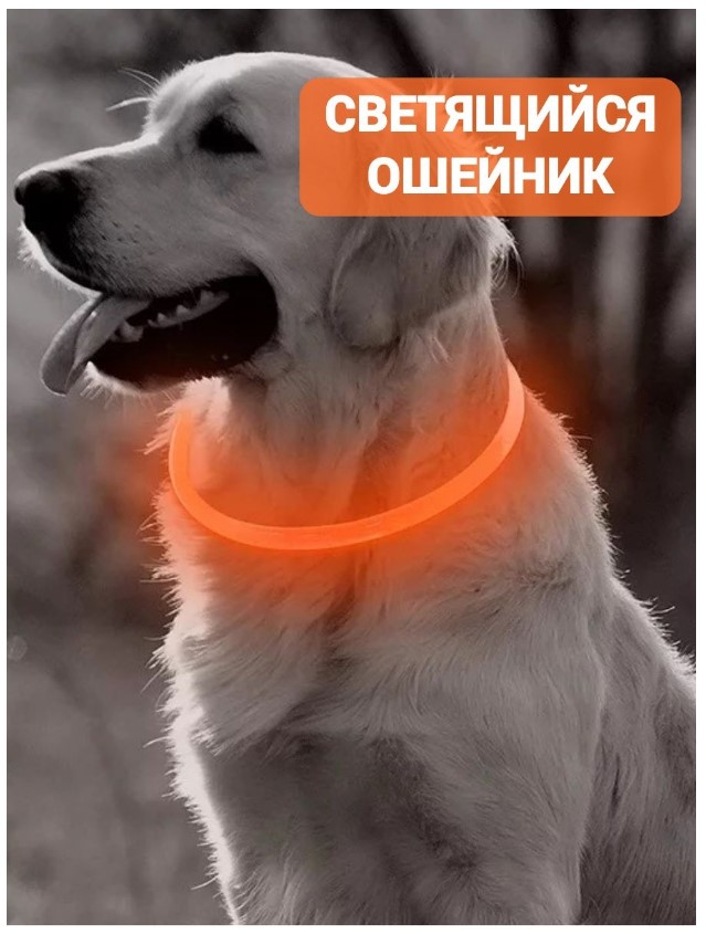  Светящийся ошейник для собак и кошек (L/70 см) - Оранжевый - Пушок
