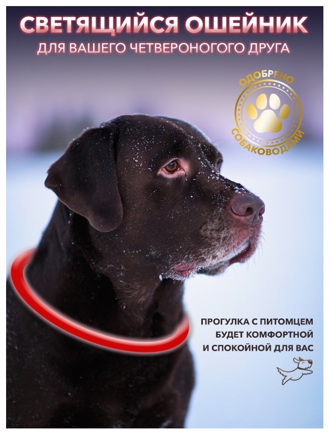  Светящийся ошейник для собак и кошек (M/50 см) - Красный - Пушок